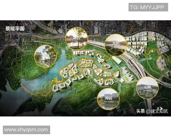 南京排球队的控制革新探索与实践:重塑竞技水平与团队协作的新篇章