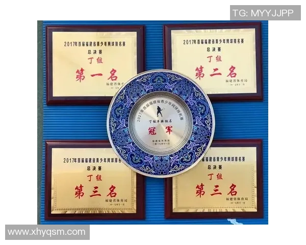 南京网球队与北京网球队个人能力对比分析赛后复盘